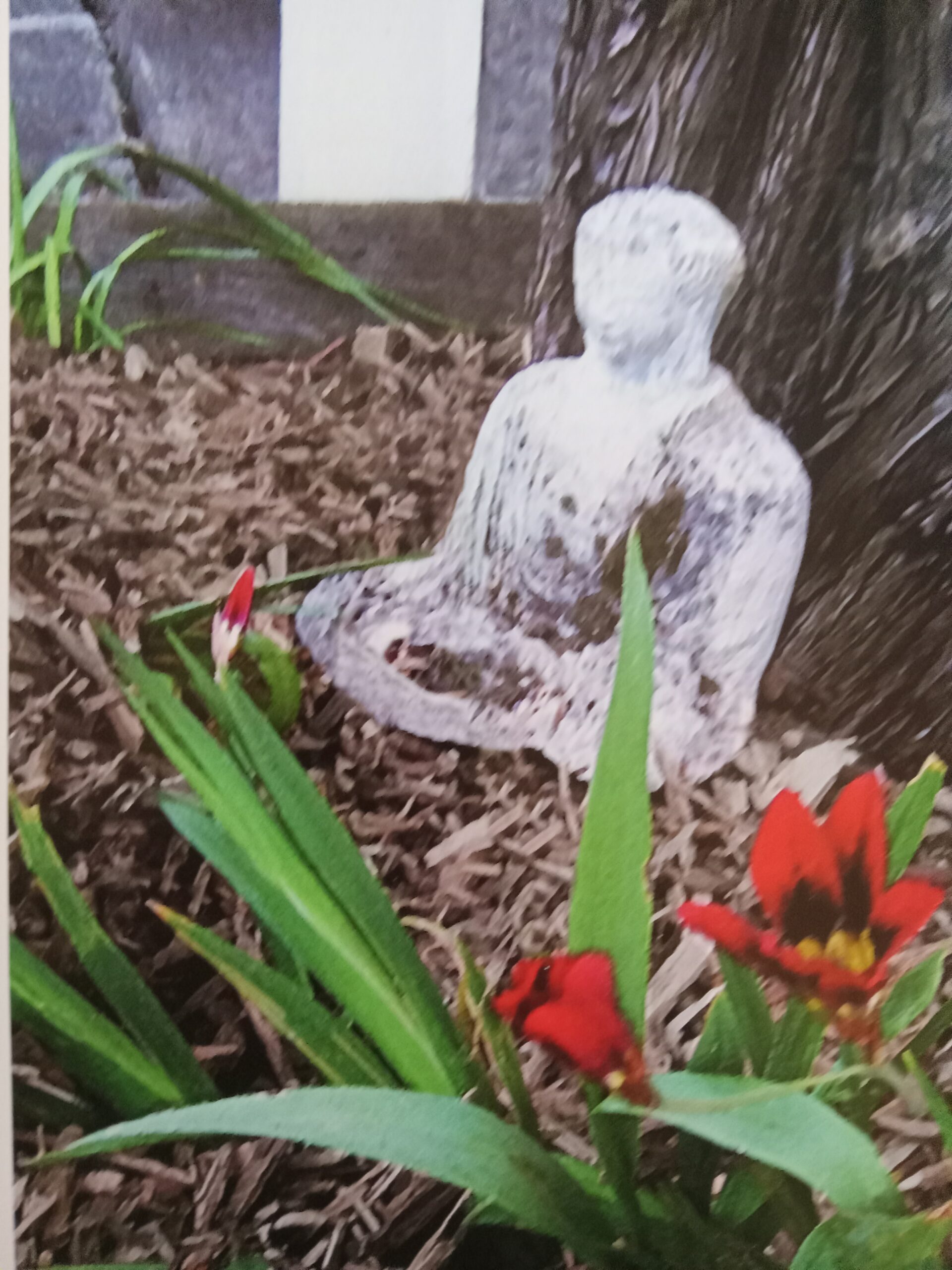 A sitting buddha statue in a garden.